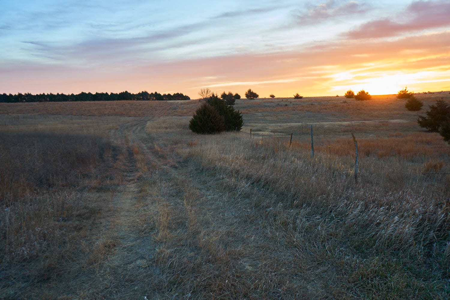 Wide Angle West