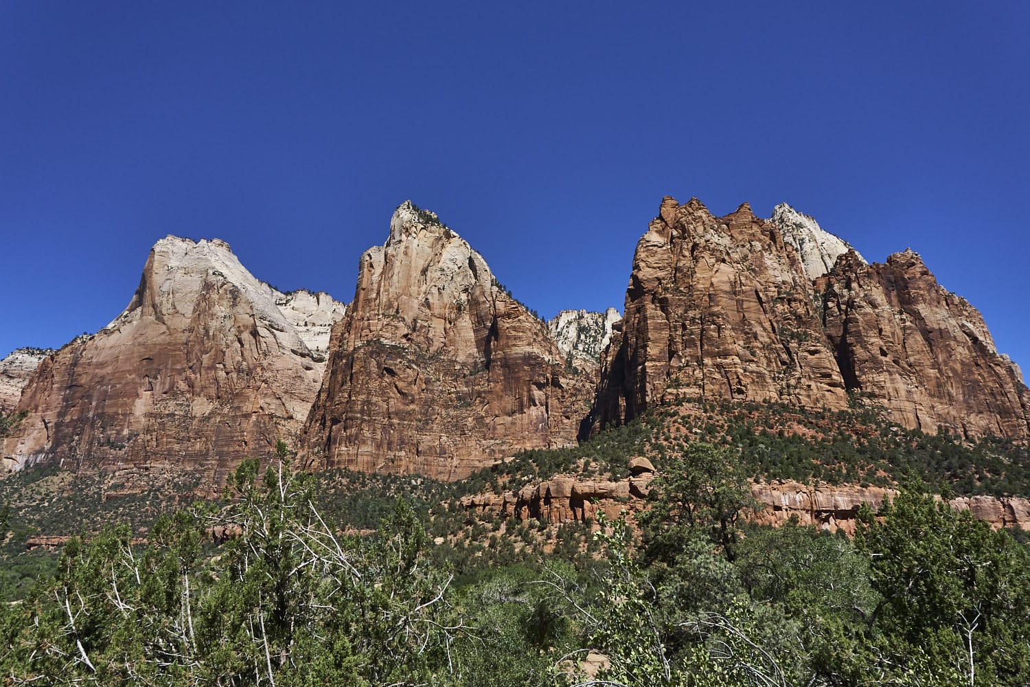 Zion National Park