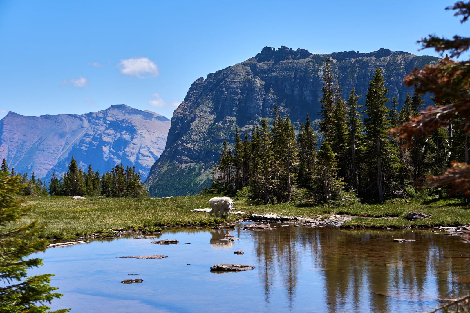 Crown of the Continent, Glacier National Park Montana